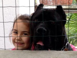 Lucrezia e Brutus