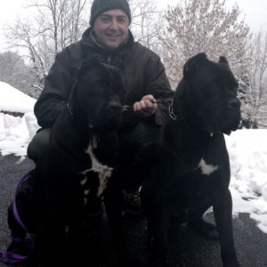 fede e cani corso